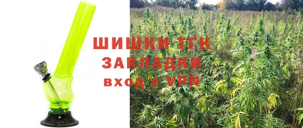 индика Верхнеуральск