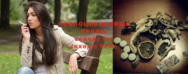 индика Верхнеуральск