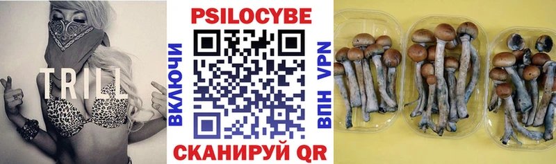 купить Вуктыл Псилоцибиновые грибы ЛСД